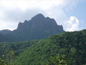 本日は、定山渓天狗岳を巡視しました。