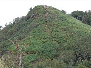 手前からみた山頂の様子