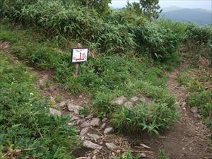 薄別コースと山頂の分岐点