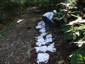 国道453号線から駐車スペースまでの坂道が悪路となっていたため、土嚢などで補修を行いました。