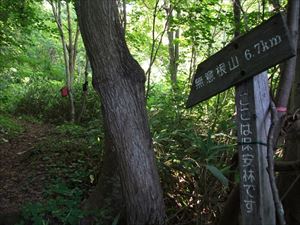 本日は、無意根山（元山コースから薄別コースとの分岐点迄）を巡視しました。