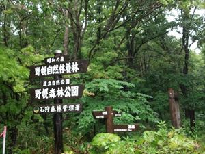本日は、野幌森林公園を巡視しました。