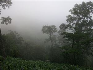 この山は展望台から支笏湖、恵庭岳、風不死岳が一望できるのですが、本日は2合目あたりから雲で覆われ、視界不良でした。