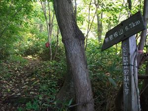 本日は無意根山