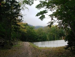 雲に覆われ入山口から山頂は全く見えませんでした。