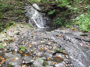 入り口からすぐの八垂別の滝、左中の沢川にかかる落差４メートルの小さな滝です