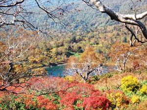 歩道から見える大沼。長径約500メートル、長尾山と無意根山を結ぶ稜線の中間地点、西側下にあります。