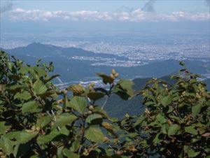 札幌市内の様子。