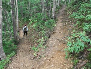 歩道の幅が広く、歩きやすい状態です。