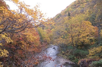 天狗小屋手前の橋からの風景