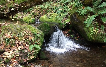 小さな滝