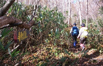 林道から山頂へ向かう歩道