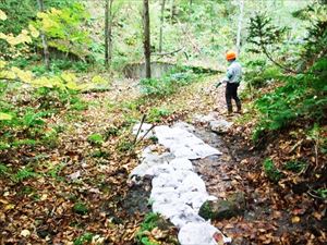 入山口の歩道が悪路となっていたため、土嚢を設置しました。