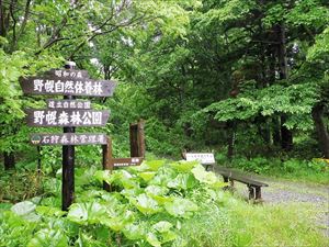 野幌森林公園を巡視