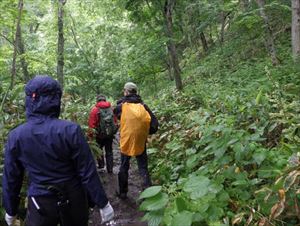 山頂から小雨の中下山してきた方々