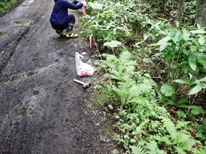 林道決壊部分にはピンクテープ等で注意喚起