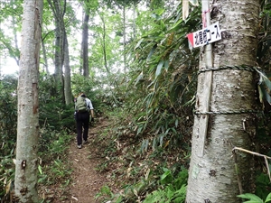 風不死岳入口