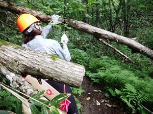 歩道上の倒木を撤去し、作られていた脇道が使われないようにしました。