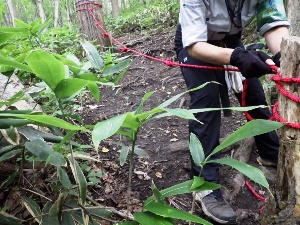 道筋にロープを張り、安全確保