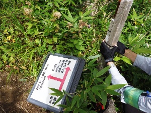 分岐点の看板が破損していたため、補修等