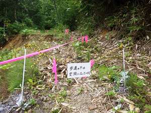 歩道下に決壊部分があり、安全確保のためピンクテープとトラロープを使って注意喚起