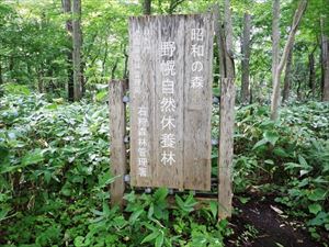 野幌自然休養林