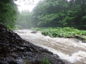 歩道上が大雨による激流