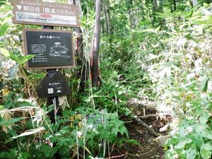 岩戸公園コースの入林口の様子