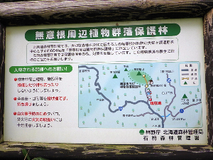 無意根山薄別コース