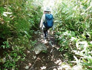 歩道の段差がササなどにより見えにくくなっていたため、ササ刈りを行いました。