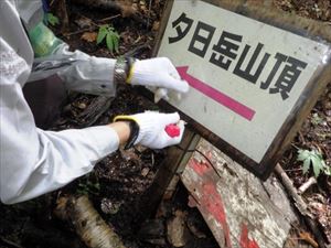 案内看板が破損していたため補修