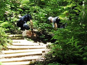 去年に引き続き歩道に残っている鉄杭を抜き取り、歩道に丸太を敷いて階段を設置しています。