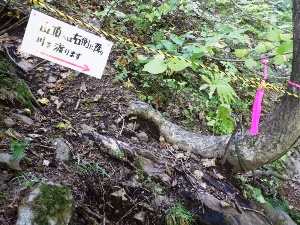 山頂への道がわかりにくい箇所