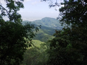 中腹から見える藻岩山