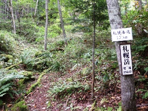 札幌岳豊滝コースを巡視