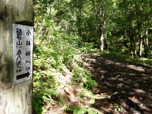 砥石山の中ノ沢コースから巡視