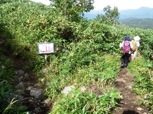 薄別コースと元山コースとの分岐点