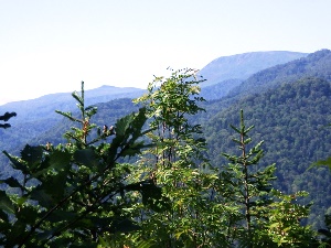 見晴台から見た中岳（左）、無意根山（右）、