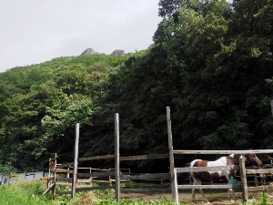 中央口コースから見た山頂方面