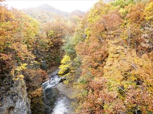 時雨橋から見た景色です。