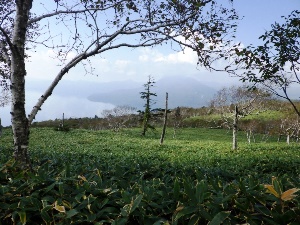 8合目付近からの恵庭岳はぼんやり霞んで見えました