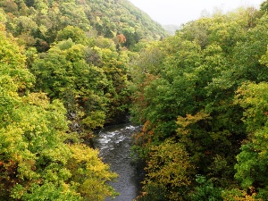 小天狗岳へ向かう途中の時雨橋から見た川の様子