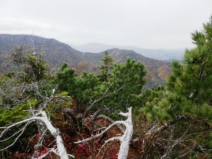 遠くに無意根山が見えます。