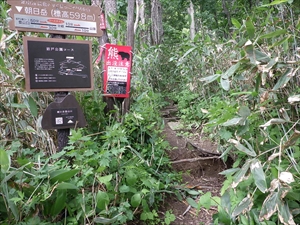 岩戸公園側入林口の様子