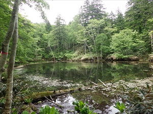 青沼の様子