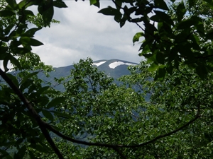 同じく山頂手前から見た余市岳の様子