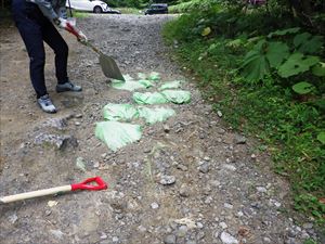 駐車場に向かう坂の大きな穴などを埋めて通りやすくしました。