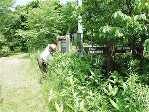 ササなどにより、案内看板が見えにくくなっていたため、刈り取りを行いました。