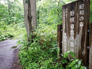 本日は野幌自然休養林を巡視しました。