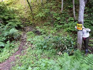 歩道外に踏み跡があり、歩道がわかりにくくなっていたため、案内看板を設置しました。